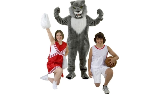 Rental Costumes for High School Musical - East High School Cheerleader, East High School Wildcat Mascot, Troy Bolton in his East High School Basketball uniform