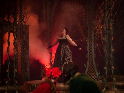 Into the woods Broadway set rental - forest - stagecraft theatrical - 800-499-1504