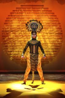 The Lion King Costumes