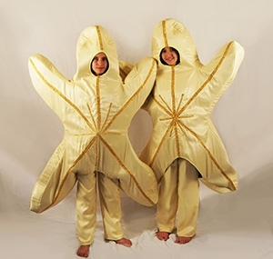 The Little Mermaid - Costume Rental Sea Creatures Starfish