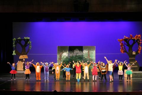 Winnie the Pooh KIDS Costumes