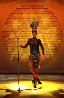 The Lion King Costumes