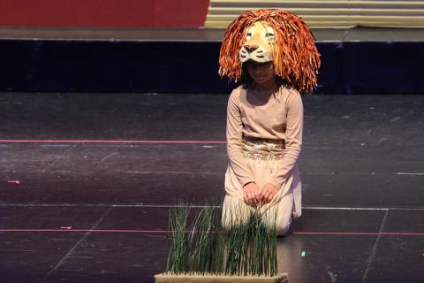 Lion King Kids Costumes and Headpieces