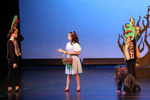 The Wizard of Oz Costumes