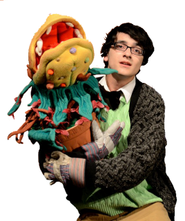 Audrey II stage two