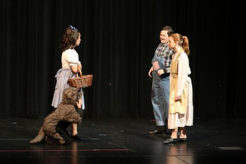 The Wizard of Oz Costumes