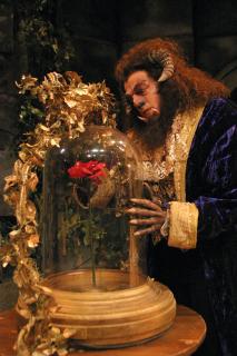Full set of professional Beauty and the Beast Costumes