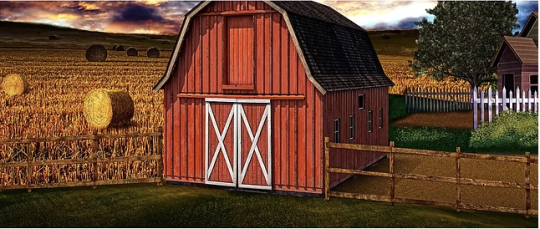 D000 Barn