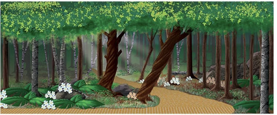 D004 Forest with Brick Road