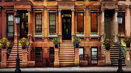 101 Dalmations Theatrical Drop Rental