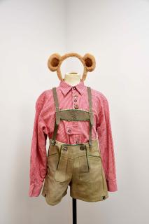 Shrek and Shrek Jr. Costumes