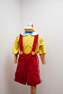 Shrek and Shrek Jr. Costumes