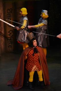 Shrek Props/Costumes