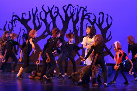 The Wizard of Oz Costumes