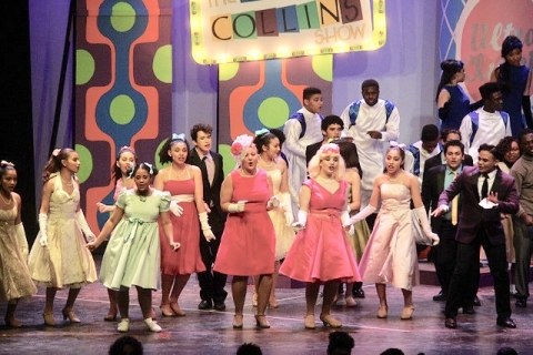 Hairspray dance costumes top