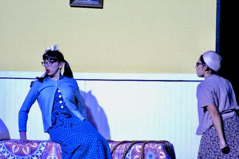 Hairspray Costumes CHEAP