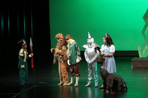 The Wizard of Oz Costumes