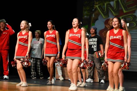 Wildcat Cheerleading Uniform