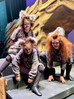 LION KING JR - quality costumes for rent