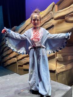 LION KING JR - quality costumes for rent