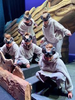 LION KING JR - quality costumes for rent