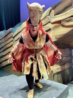 LION KING JR - quality costumes for rent