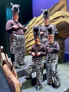 LION KING JR - quality costumes for rent