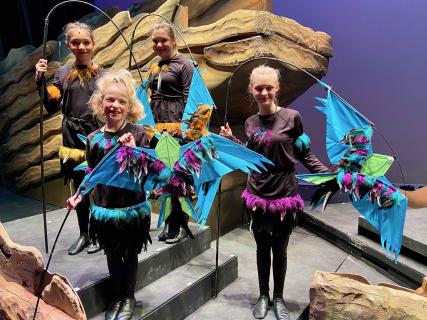 LION KING JR - quality costumes for rent