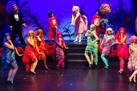 Seussical Jr Costumes