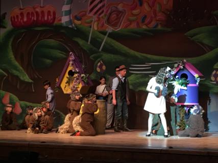 Willy Wonka Jr Costume Rentals