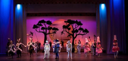 Lion King Jr. Costume Rental