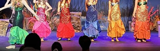 Mermaid Dresses (7)