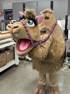 Camel 1