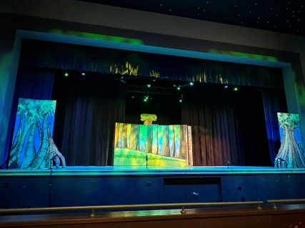 Shrek Set 3
