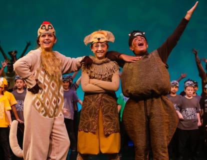 Lion King JR Costume Rentals
