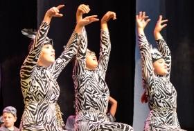 Lion King JR Costume Rentals