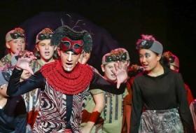 Lion King JR Costume Rentals