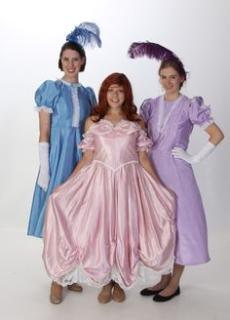 The Little Mermaid Costume Rentals