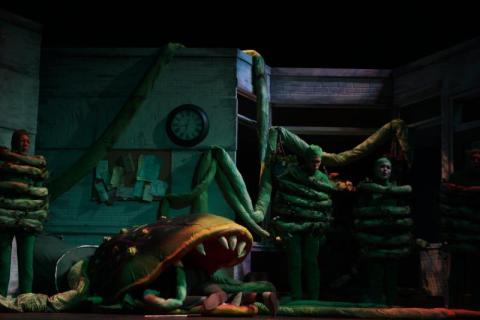 Little Shop Of Horrors Props