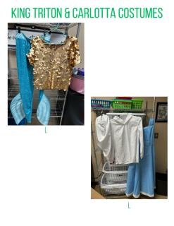 King Triton and Carlotta Costumes 