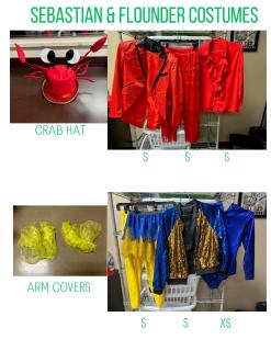 Sebastian and Flounder Costumes