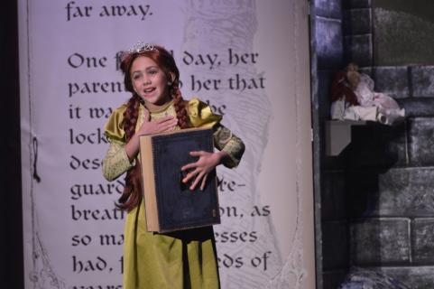 Shrek Props/Costumes