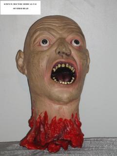 PIPPIN - PROPS AVAILABLE FOR RENT