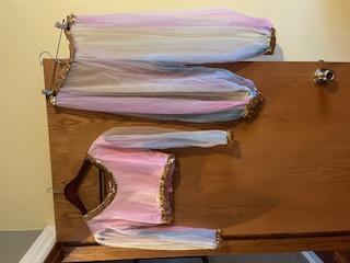 rainbow harem costume