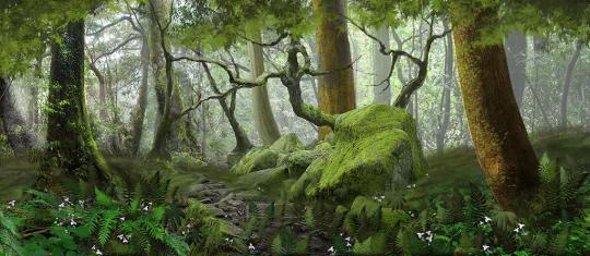 Grosh Backdrops and Drapery Forest Panel 4 used in productions of Shrek, Wizard of Oz and Sleeping Beauty,The Lion King
