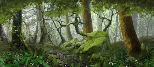 Forest Panel 4 backdrop used in productions of Shrek, Wizard of Oz and Sleeping Beauty