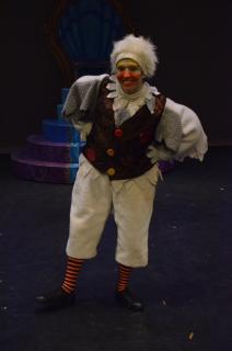 Disney's MERMAID JR. COSTUMES FOR RENT