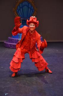 Disney's MERMAID JR. COSTUMES FOR RENT