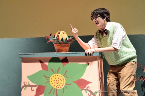 Audrey II stage one