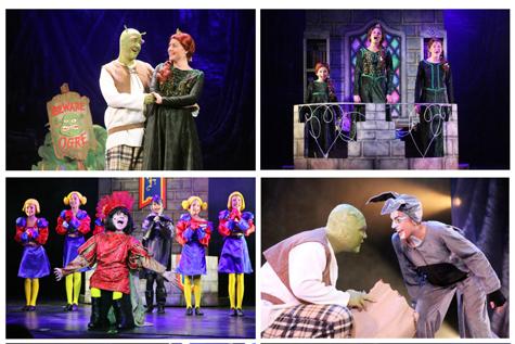 Shrek, Youth and Teen Costumes